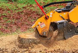 How Our Tree Care Process Works  in  Montague, CA
