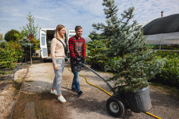 Best Soil Testing and Treatment  in Montague, CA